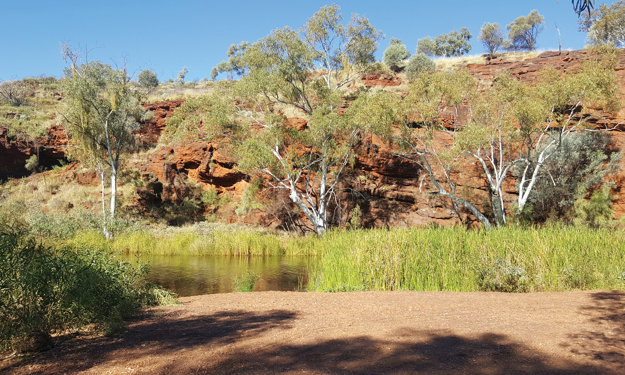 Could strategic assessments be a tool to debottleneck critical mineral approvals in Western Australia?